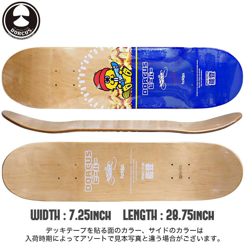 DORCUS BEAVER SKATEDECK [inch:7.25] – EKL SKATE PARK