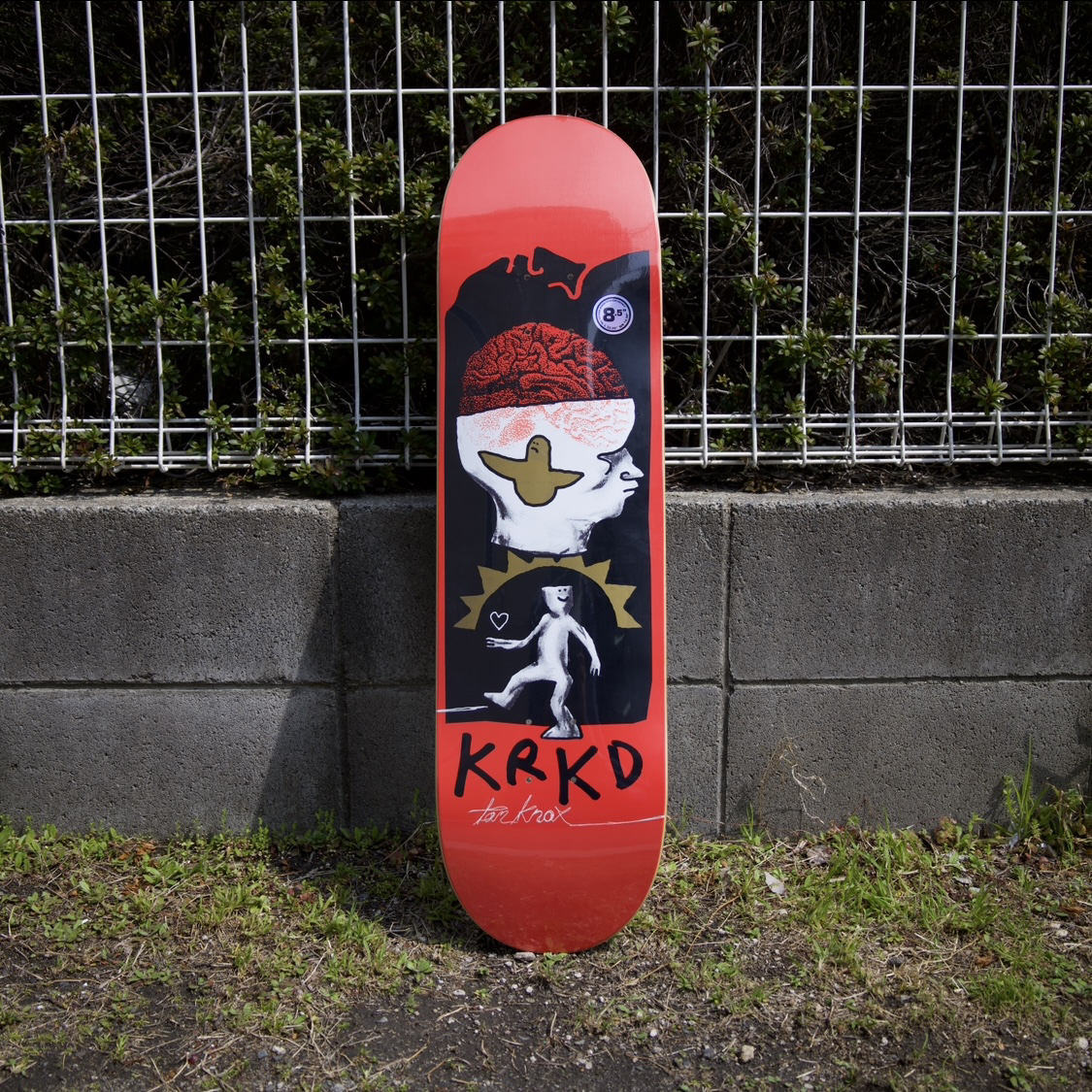 KROOKED DECK Tom knox 'Brain And Bird' 8.5 x 32.18 / 14.38"" WB